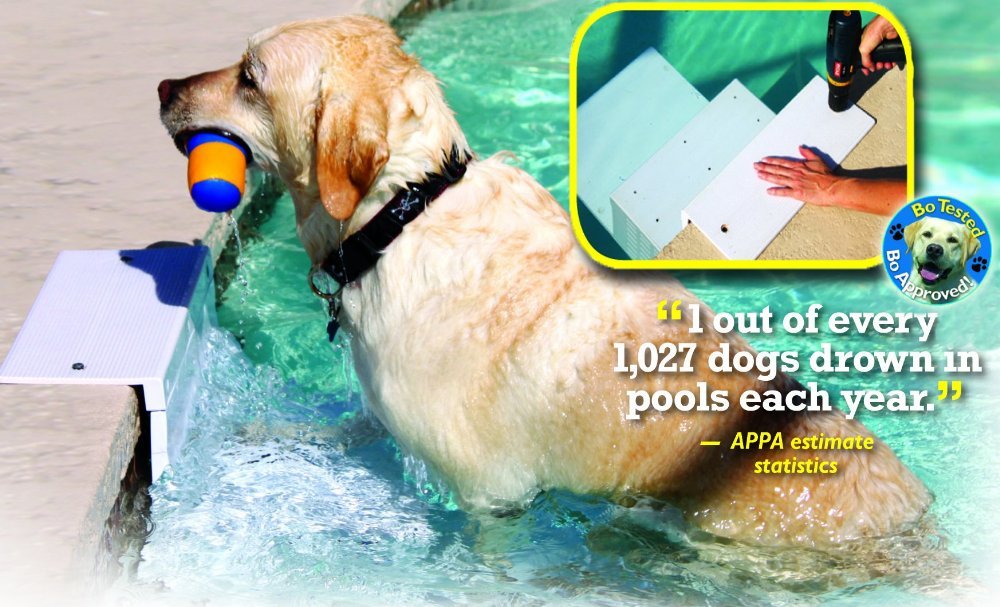 dog ramp for above ground swimming pool