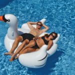 giant inflatable swan