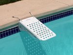 dog ramps for pool