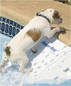 skamper ramp pool ramp for dogs